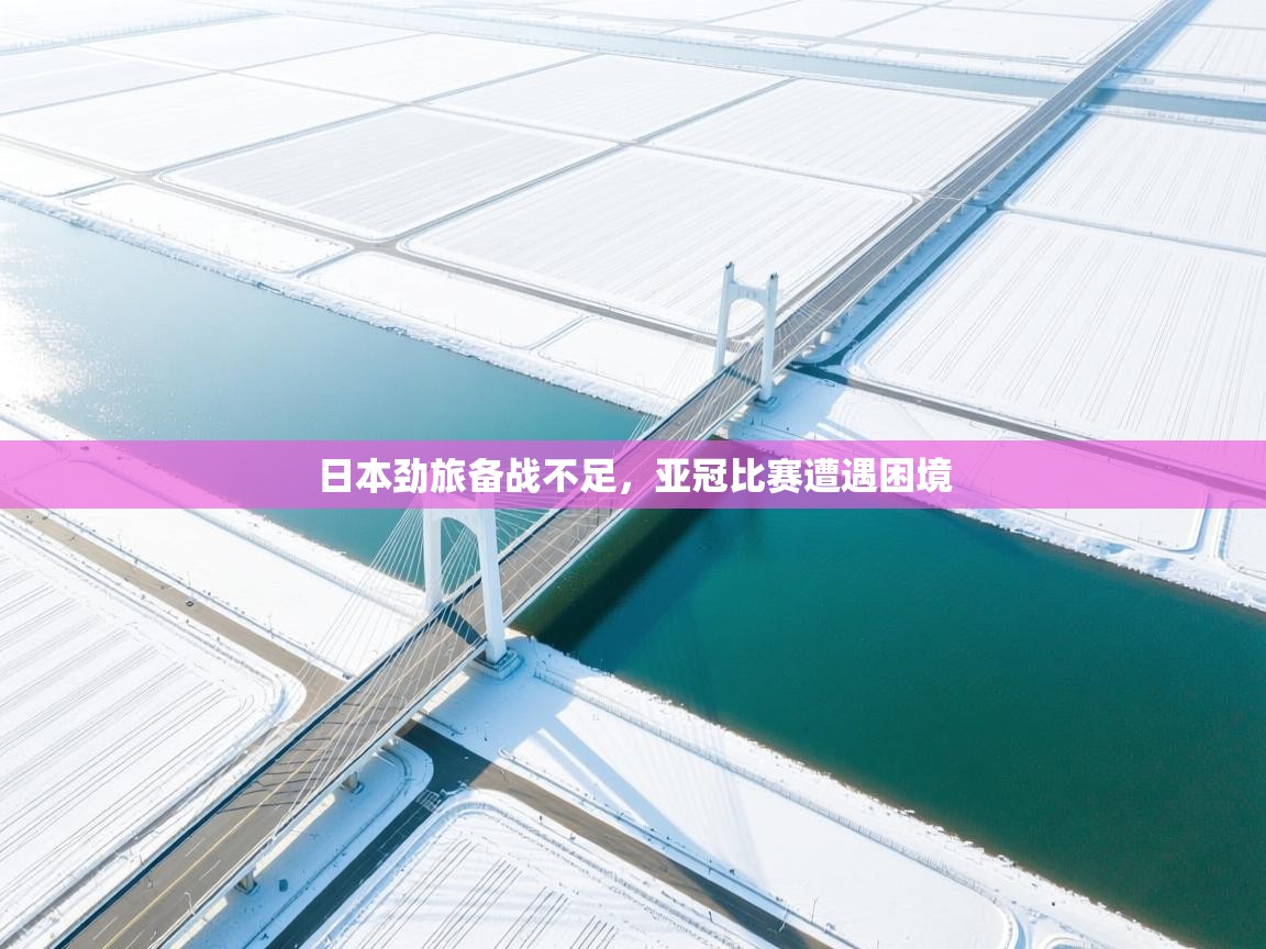 日本劲旅备战不足，亚冠比赛遭遇困境  第2张